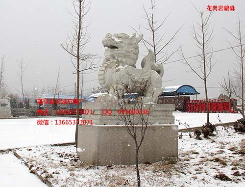 轉(zhuǎn)運(yùn)貔貅為何轉(zhuǎn)運(yùn)